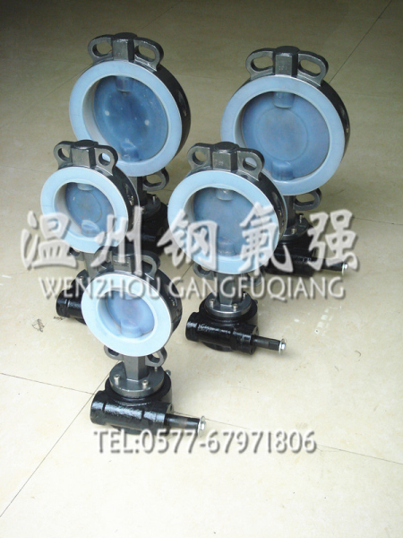 鋼襯F46蝶閥 D371F46